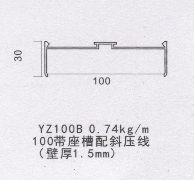 100��������б����